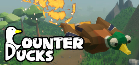Counter Ducks