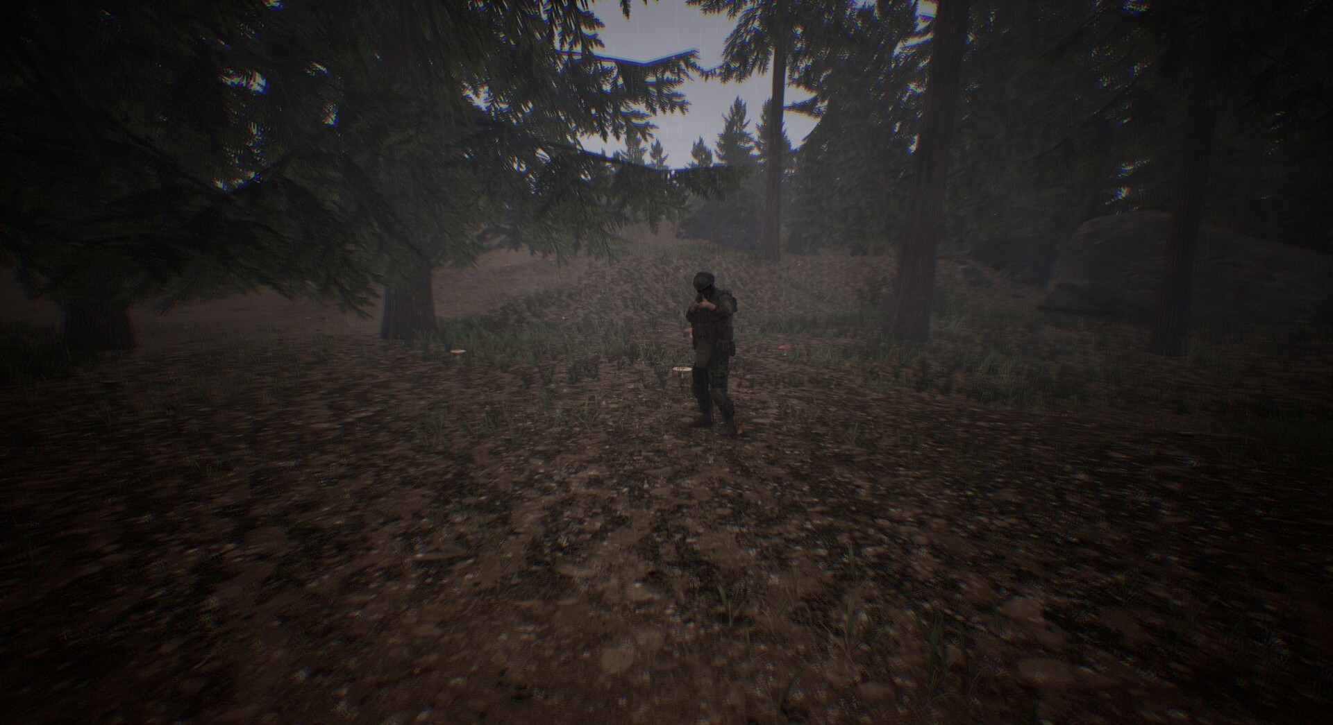 Bullets & Boletes