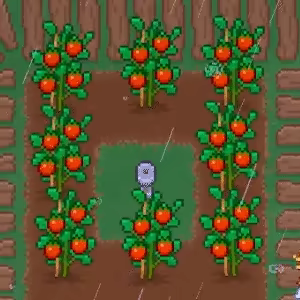 Hello, Hollow Town video 2
