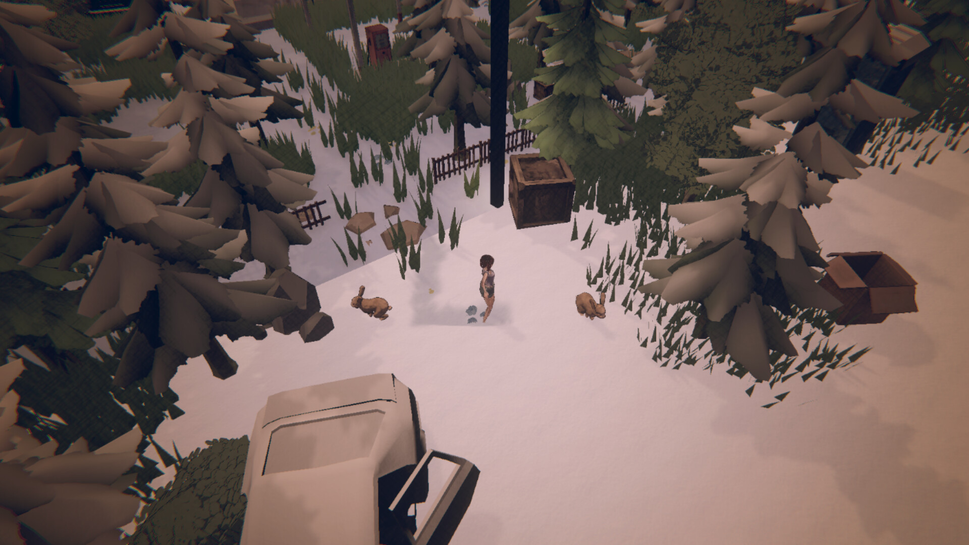 The Mist Train screenshot 5