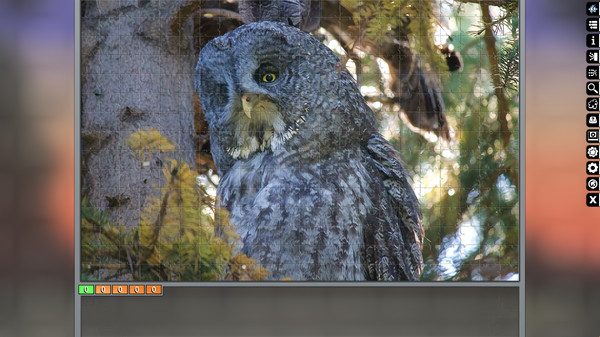Jigsaw Puzzle Pack - Pixel Puzzles Ultimate: Owls