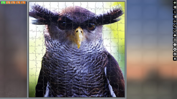 Jigsaw Puzzle Pack - Pixel Puzzles Ultimate: Owls