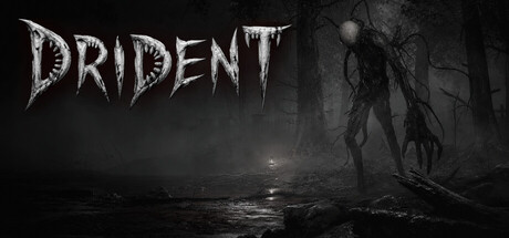 Drident cover