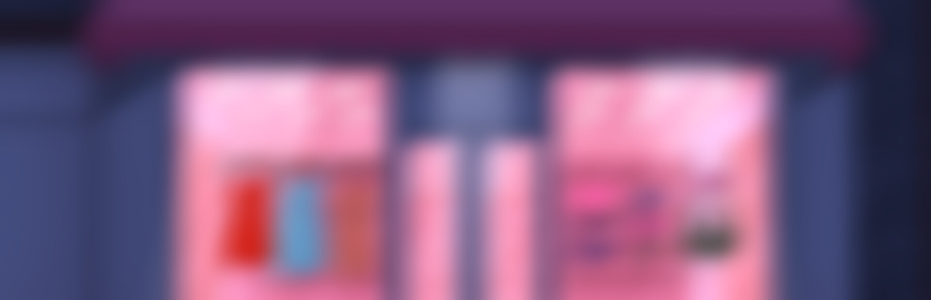 Pookie's Lingerie Shop 2