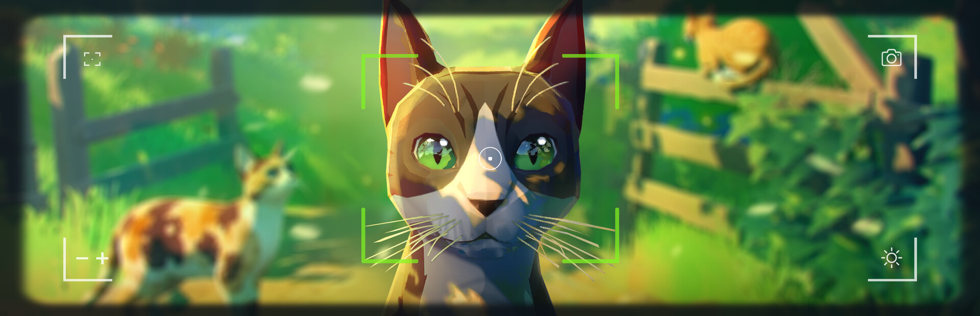 Cat a Photo