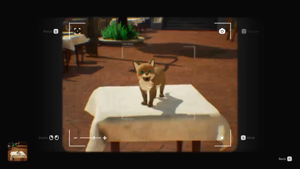 Cat a Photo video 5