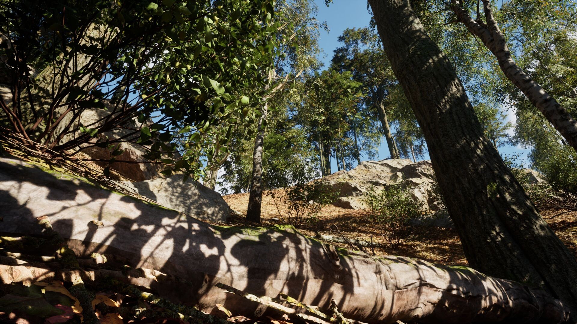 EvoX screenshot 18