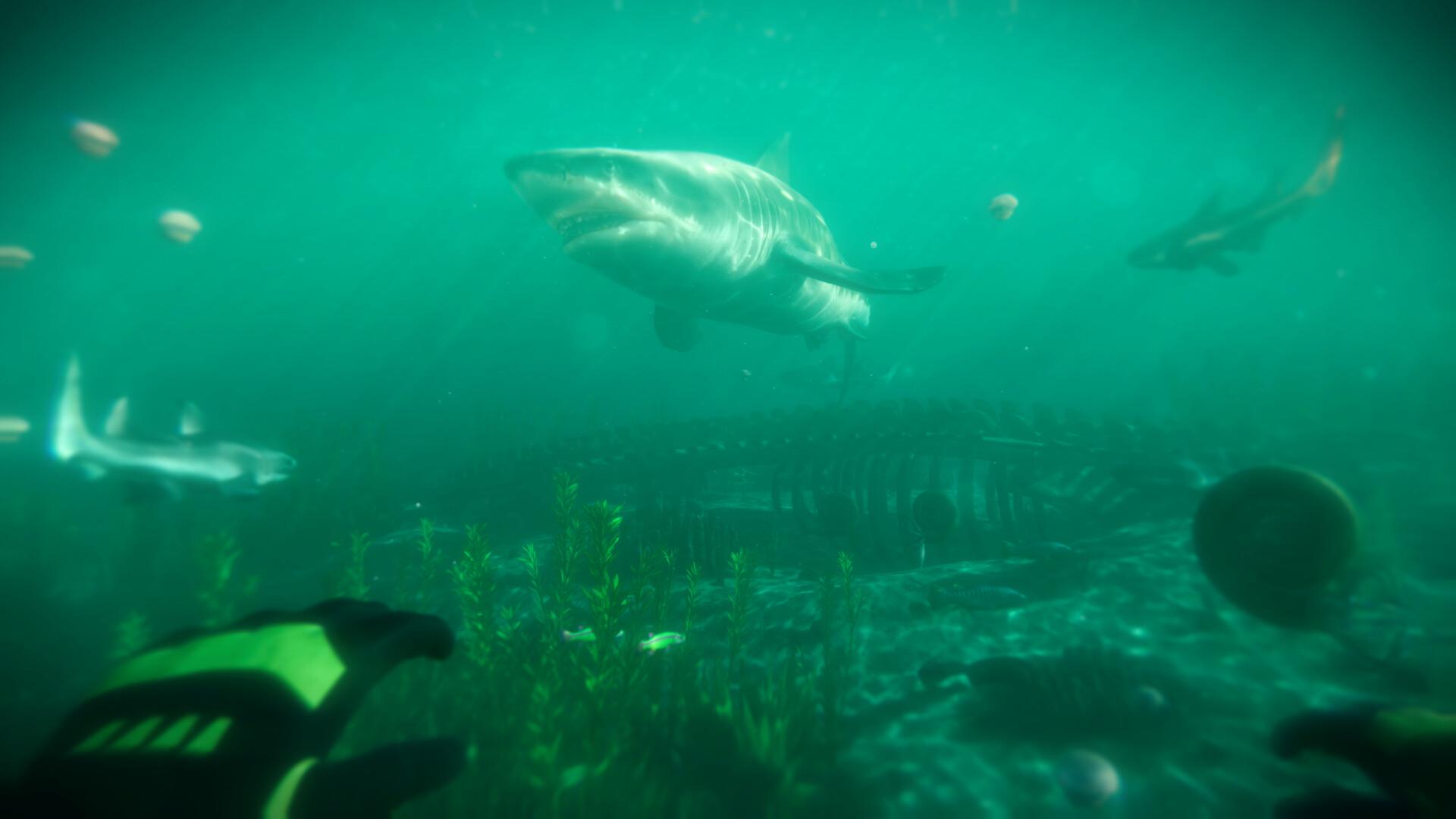 Paleo Dive screenshot 4