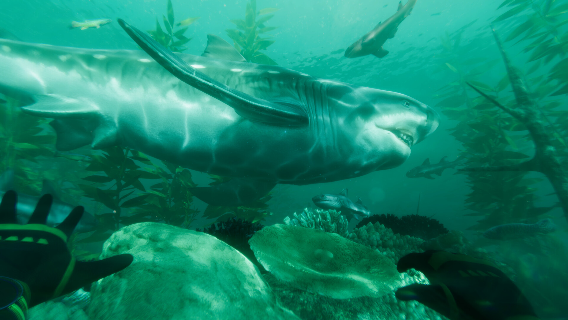 Paleo Dive Featured Screenshot #1