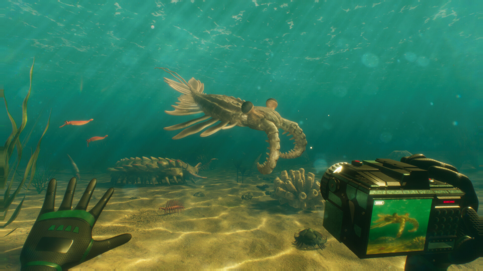 Paleo Dive screenshot 4