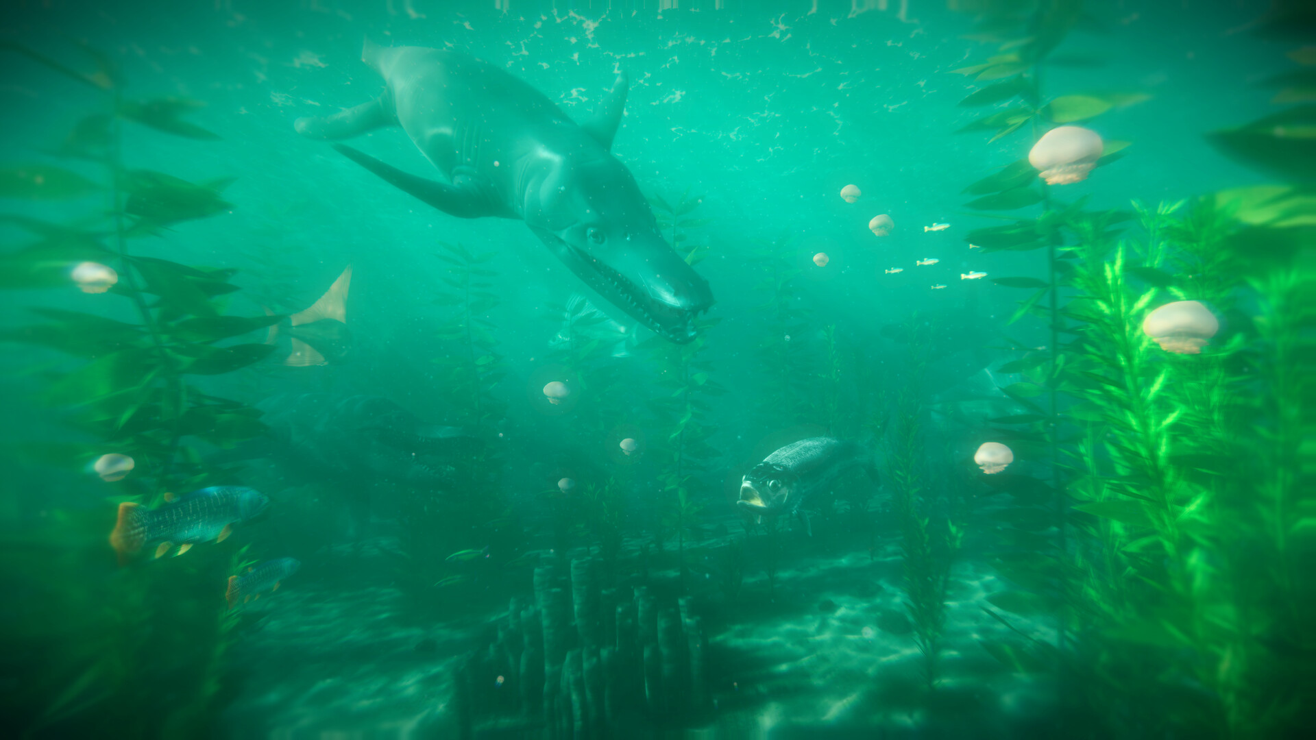 Paleo Dive screenshot 8