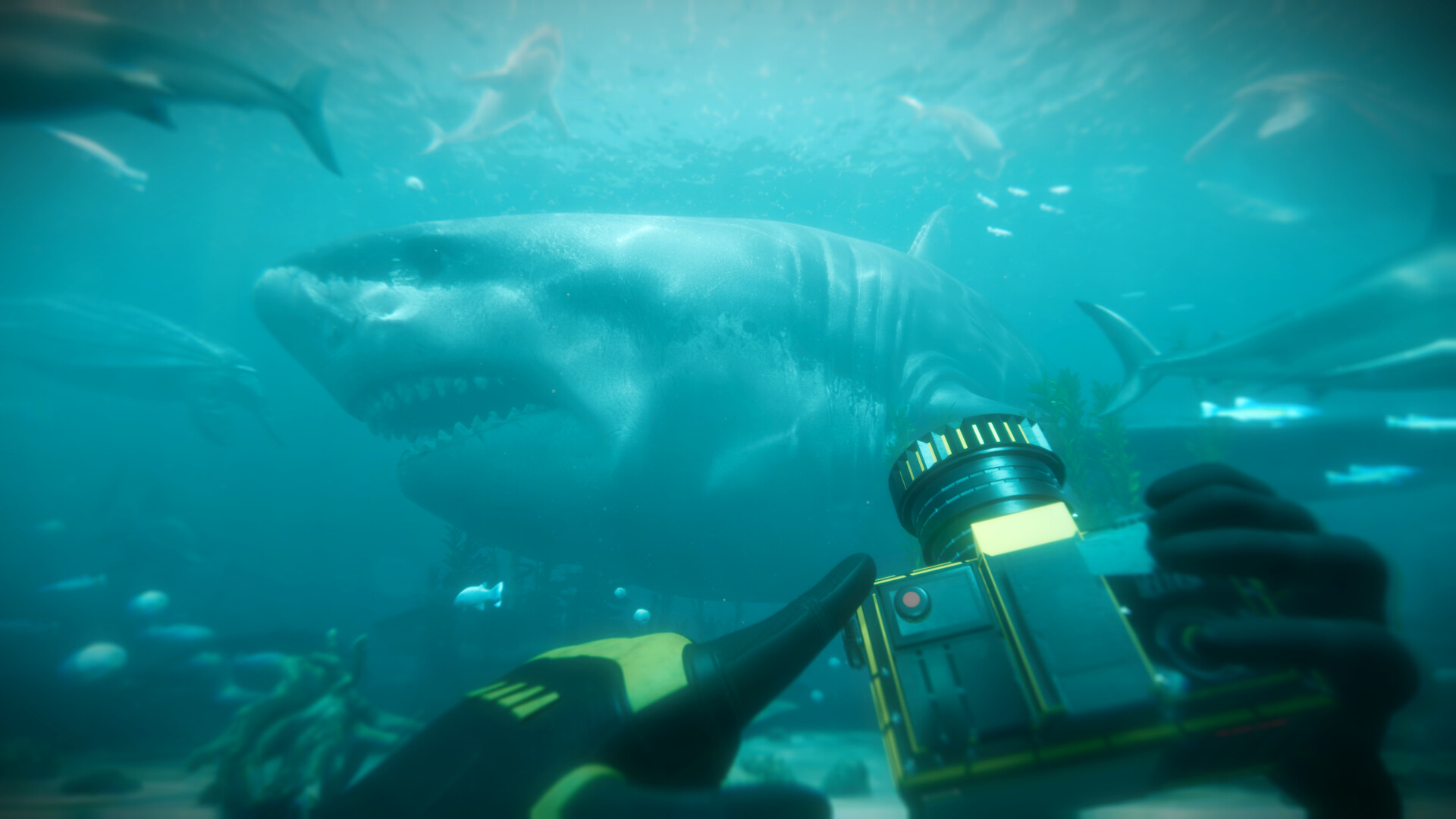 Paleo Dive screenshot 1
