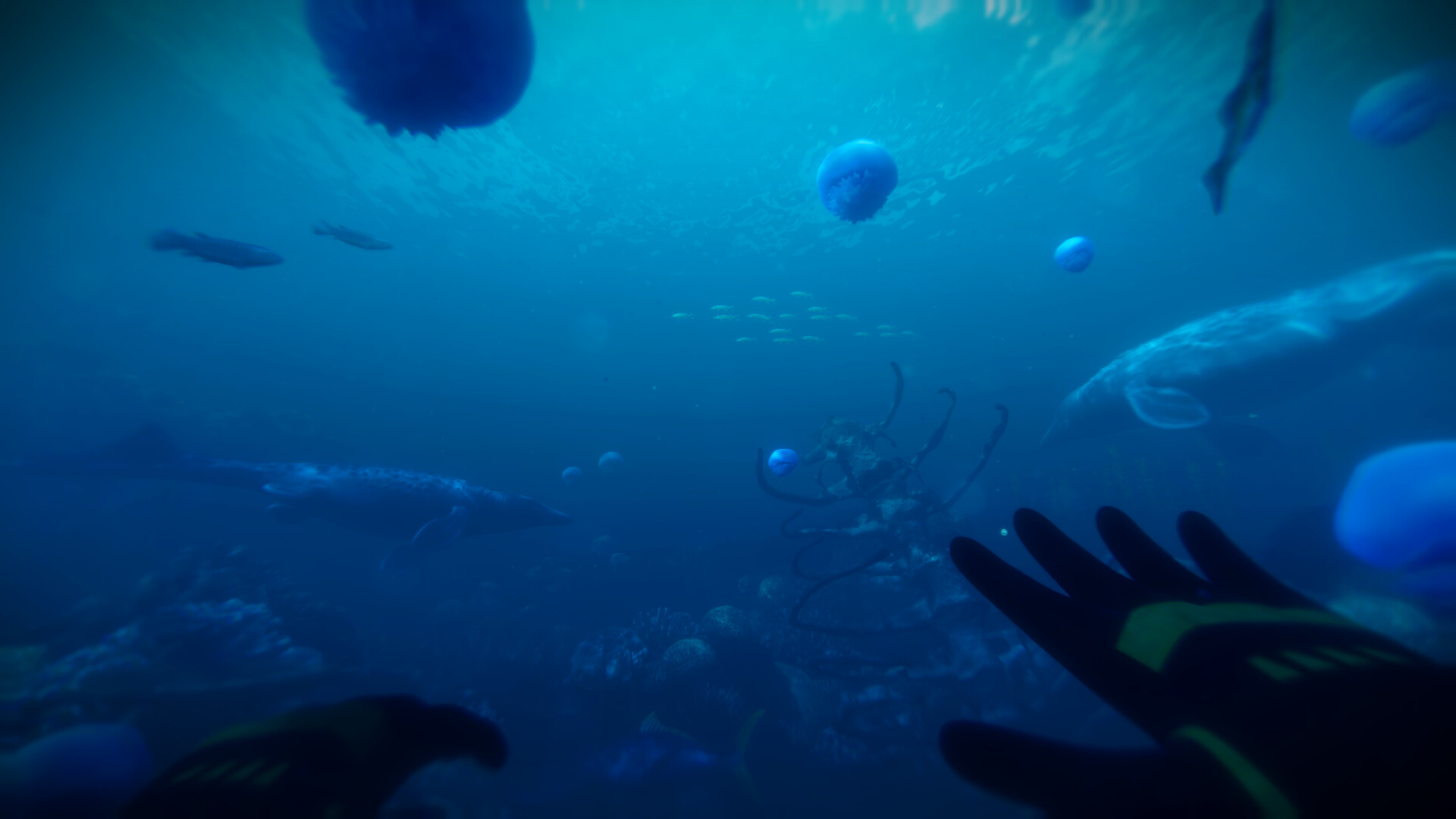 Paleo Dive screenshot 9