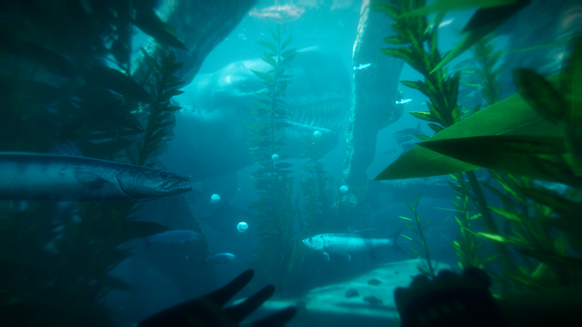 Paleo Dive screenshot 6