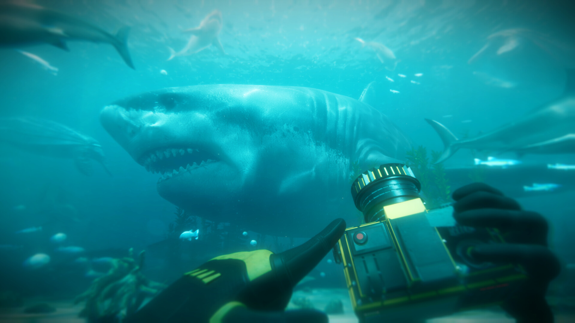 Paleo Dive screenshot 1