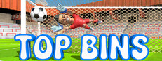 Top Bins cover