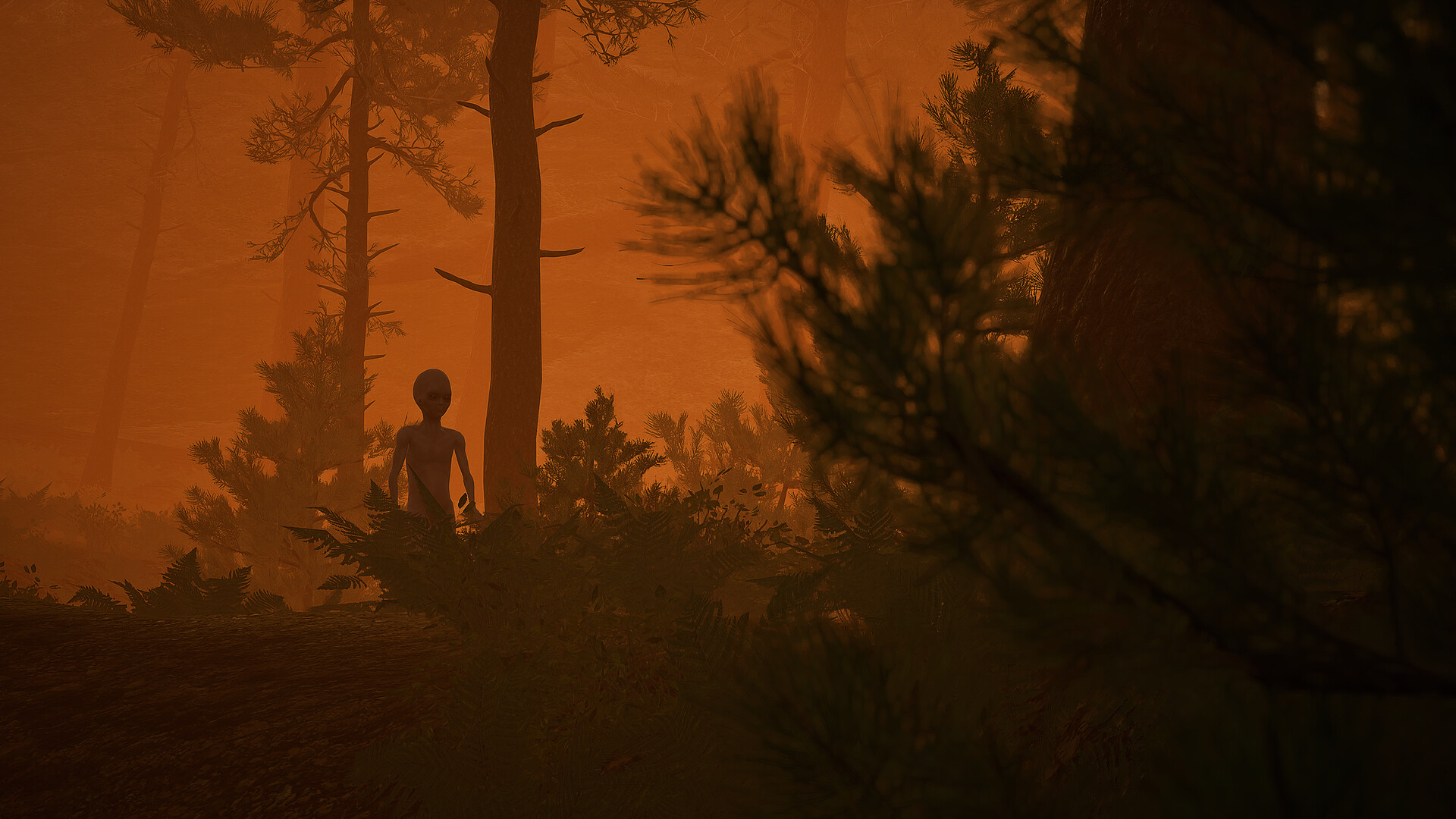 Barns & Beams screenshot 4