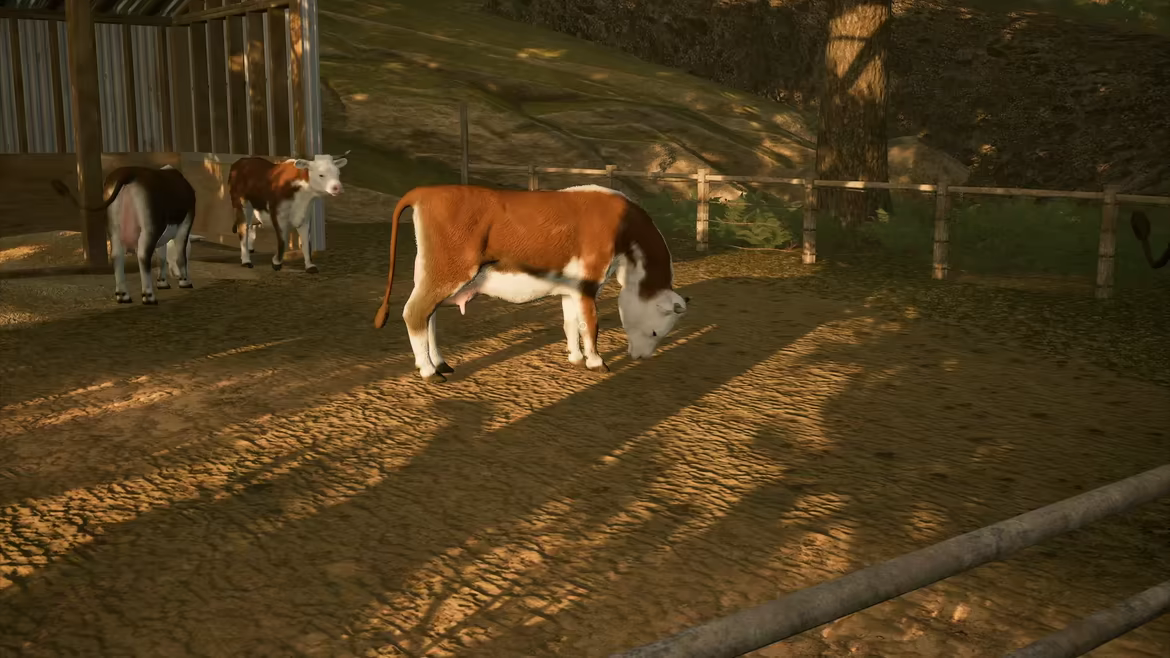 Barns & Beams video 3