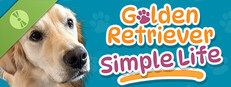 Golden Retriever Simple Life Demo