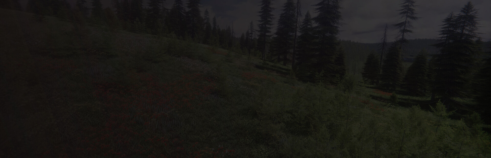 The Blackwood