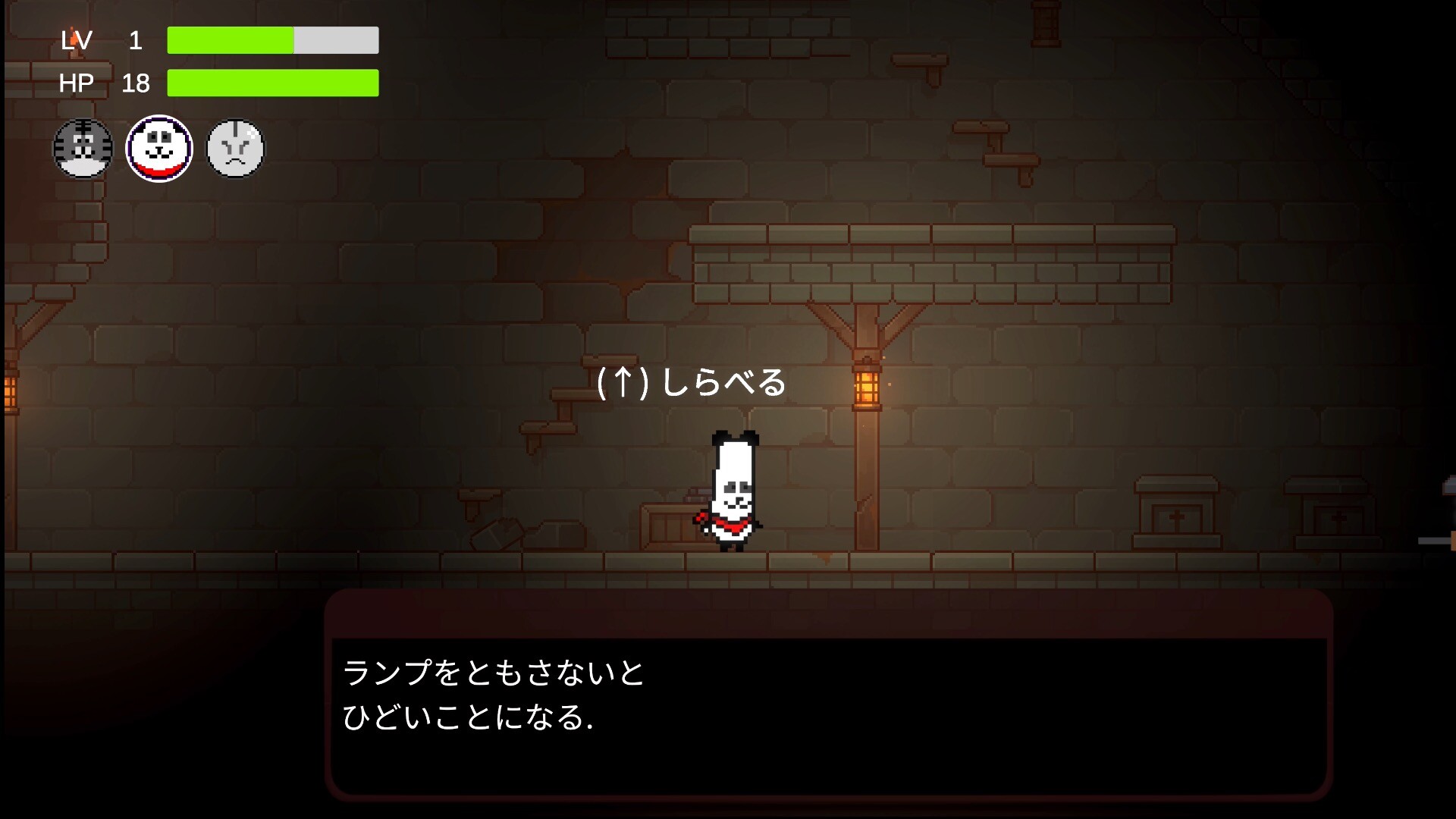 VLCNP Story screenshot 5