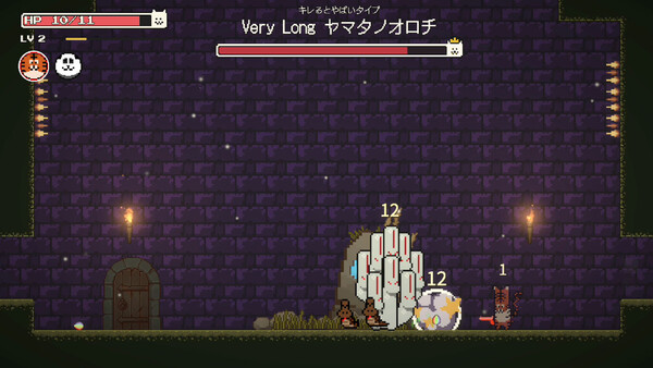 VLCNP Story screenshot 1