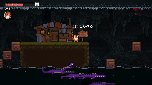 VLCNP Story screenshot 8