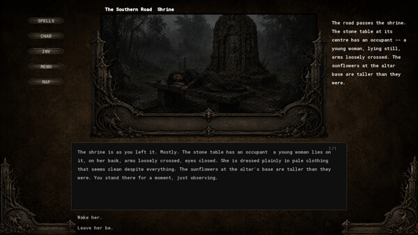 Screenshot media