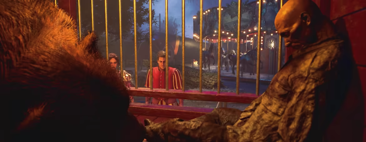 Did You See That? video 4