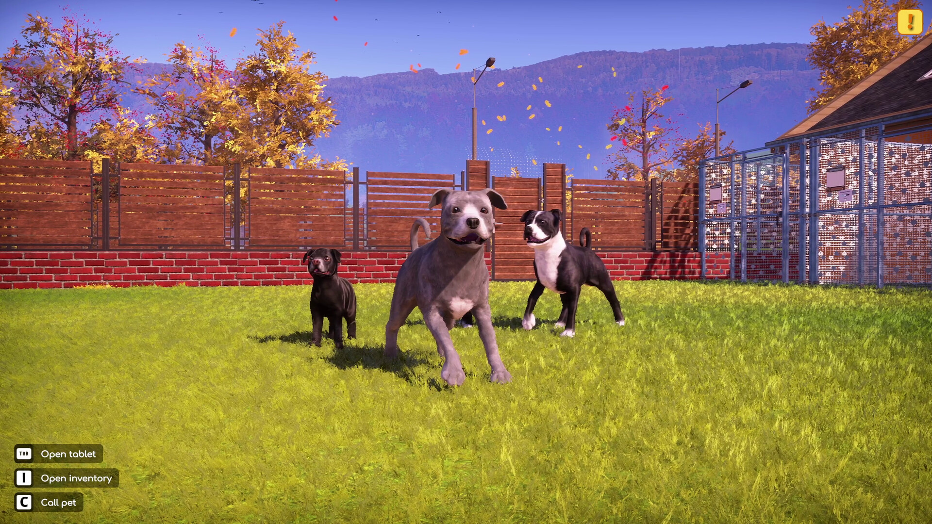 Animal Shelter 2 - Bull-Type Terriers Dogs Pack Featured Screenshot #1