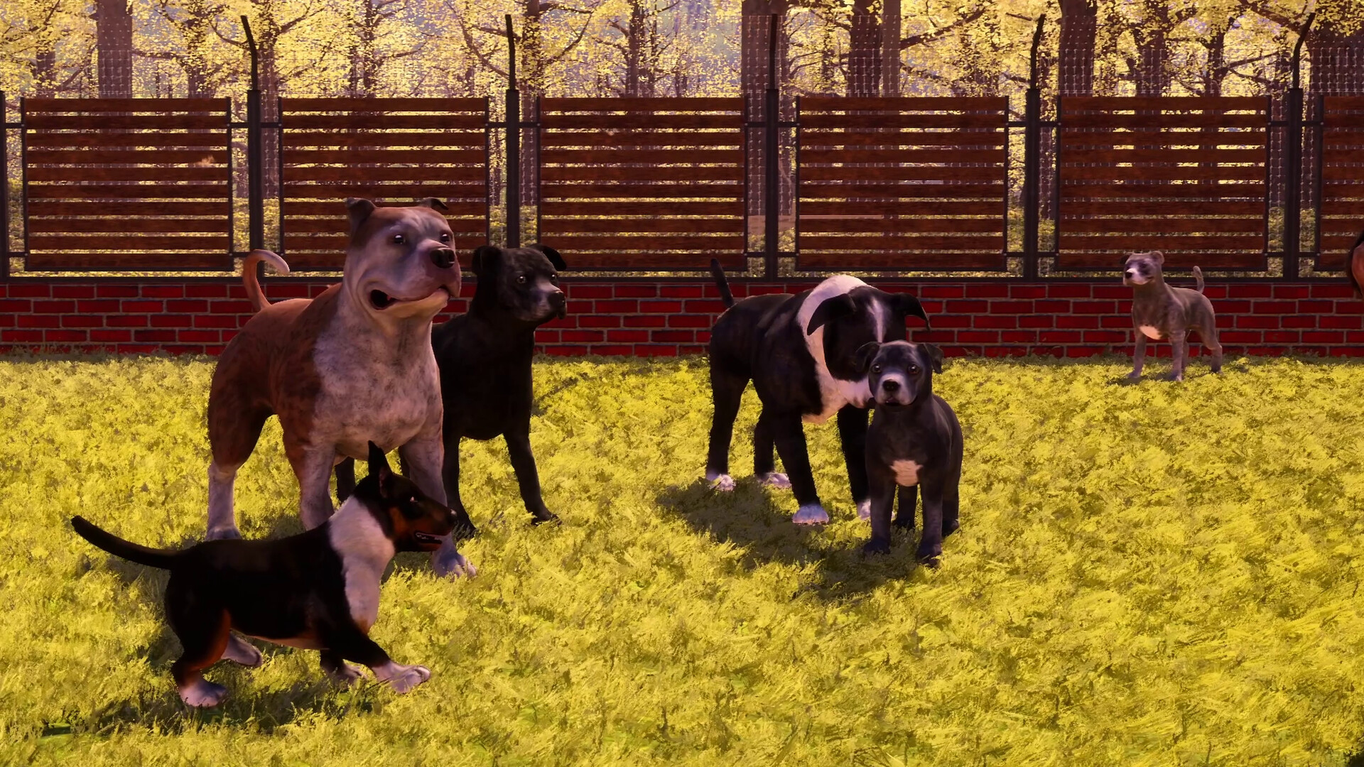 Animal Shelter 2 - Bull-Type Terriers Dogs Pack PC gameplay screenshot 11 of 11