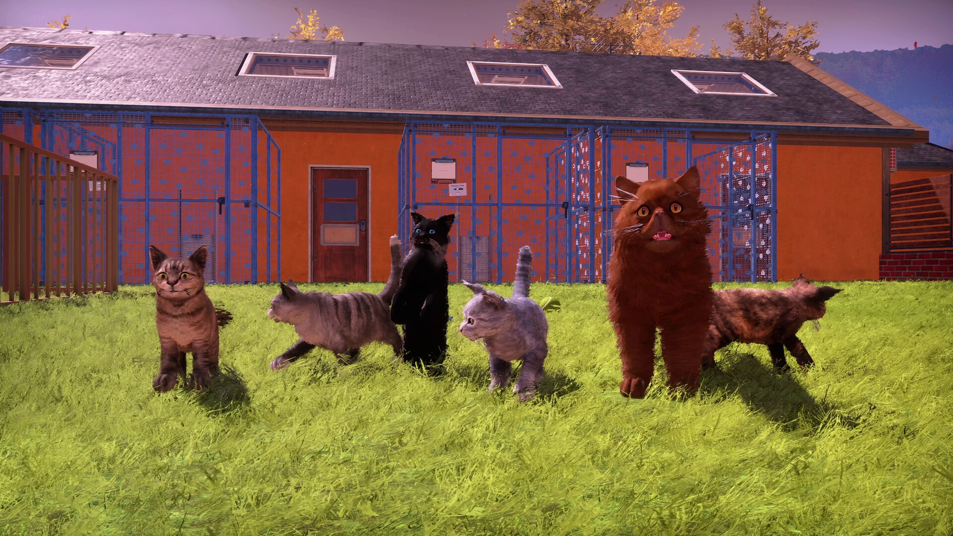 Animal Shelter 2 - Fluffy Cats Pack Featured Screenshot #1