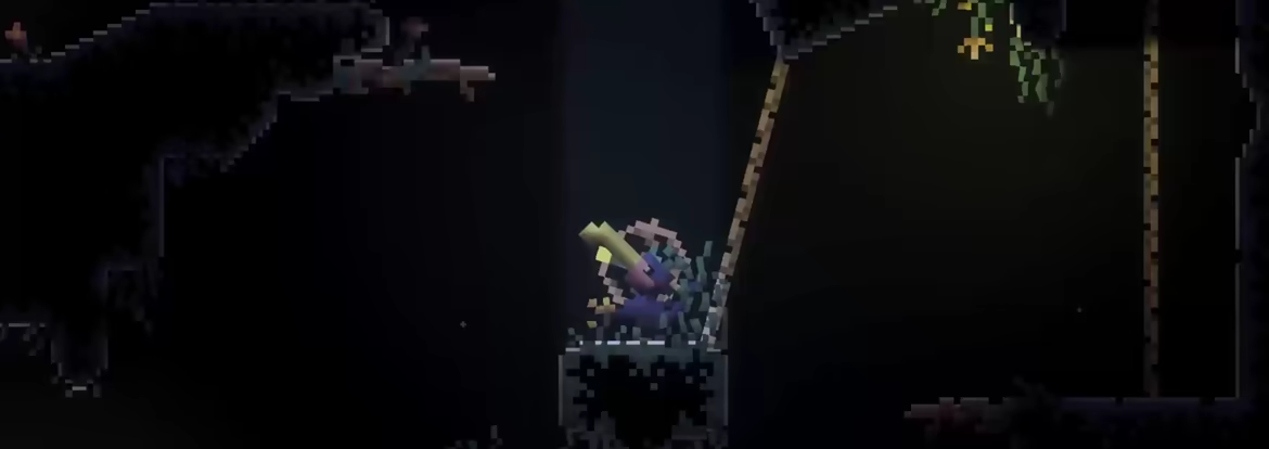 TOUKAN video 1