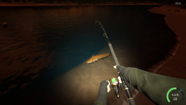 Rogoz Fishing