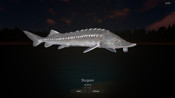 Rogoz Fishing screenshot 3