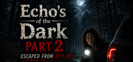 Echo's of the Dark Part 2 Escaping From Asylum
