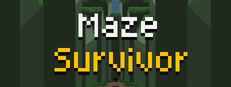 Maze Survivor cover