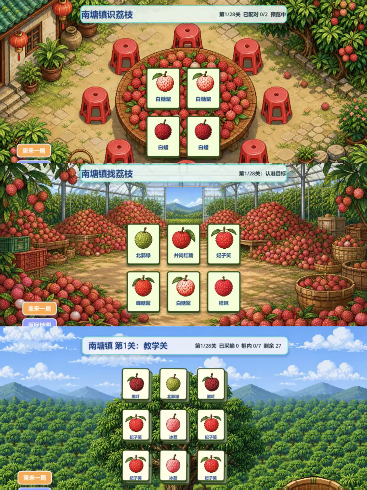来高州识荔枝/Know Lychees