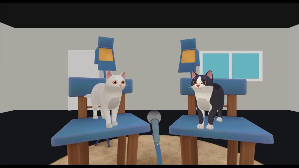 Kitty Party video 2