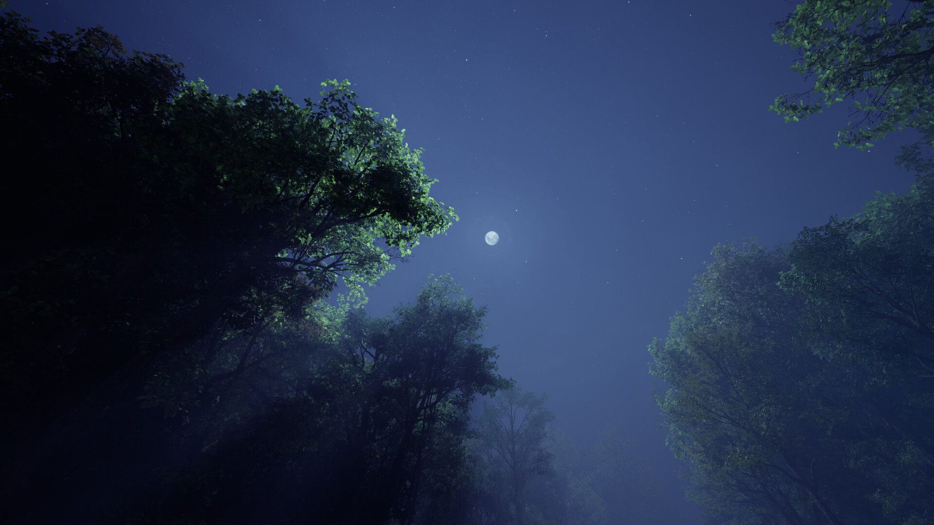 As the Sky Fades screenshot #4