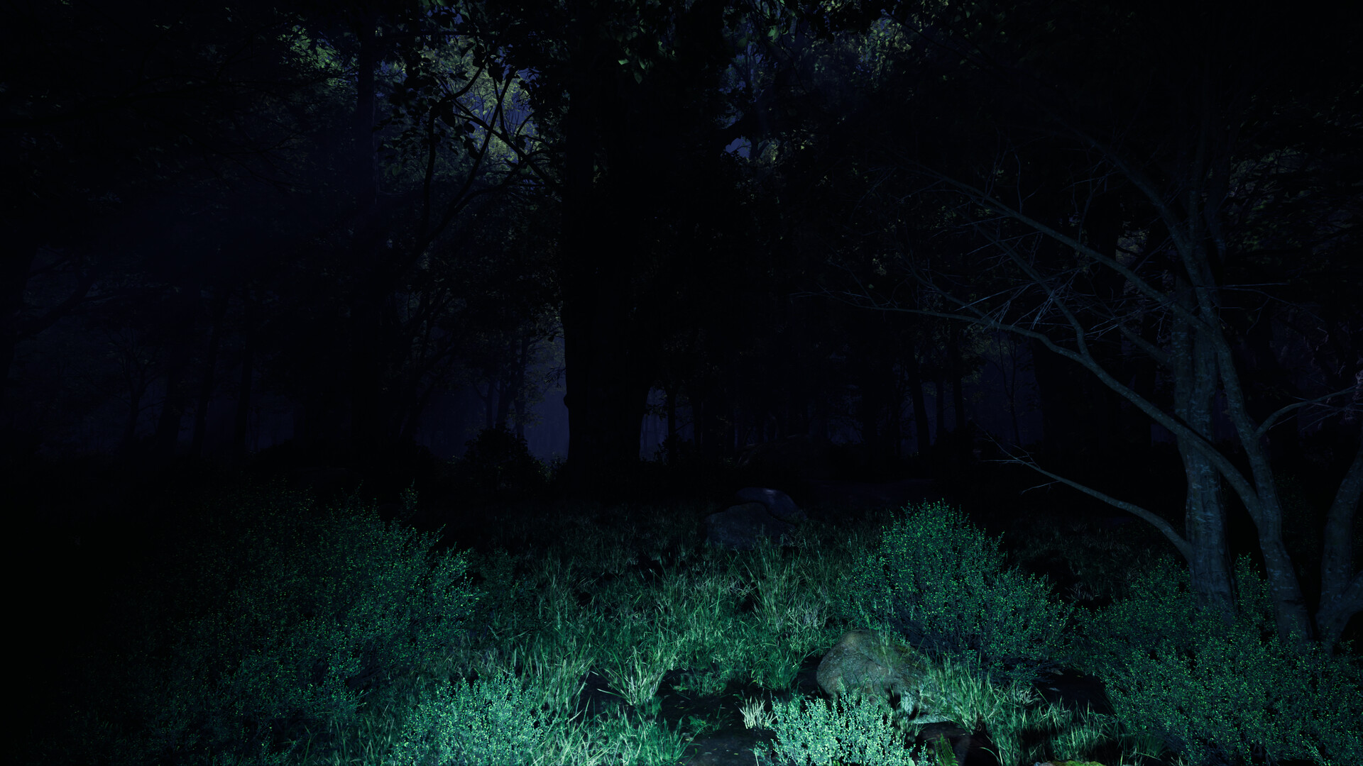 As the Sky Fades screenshot #8