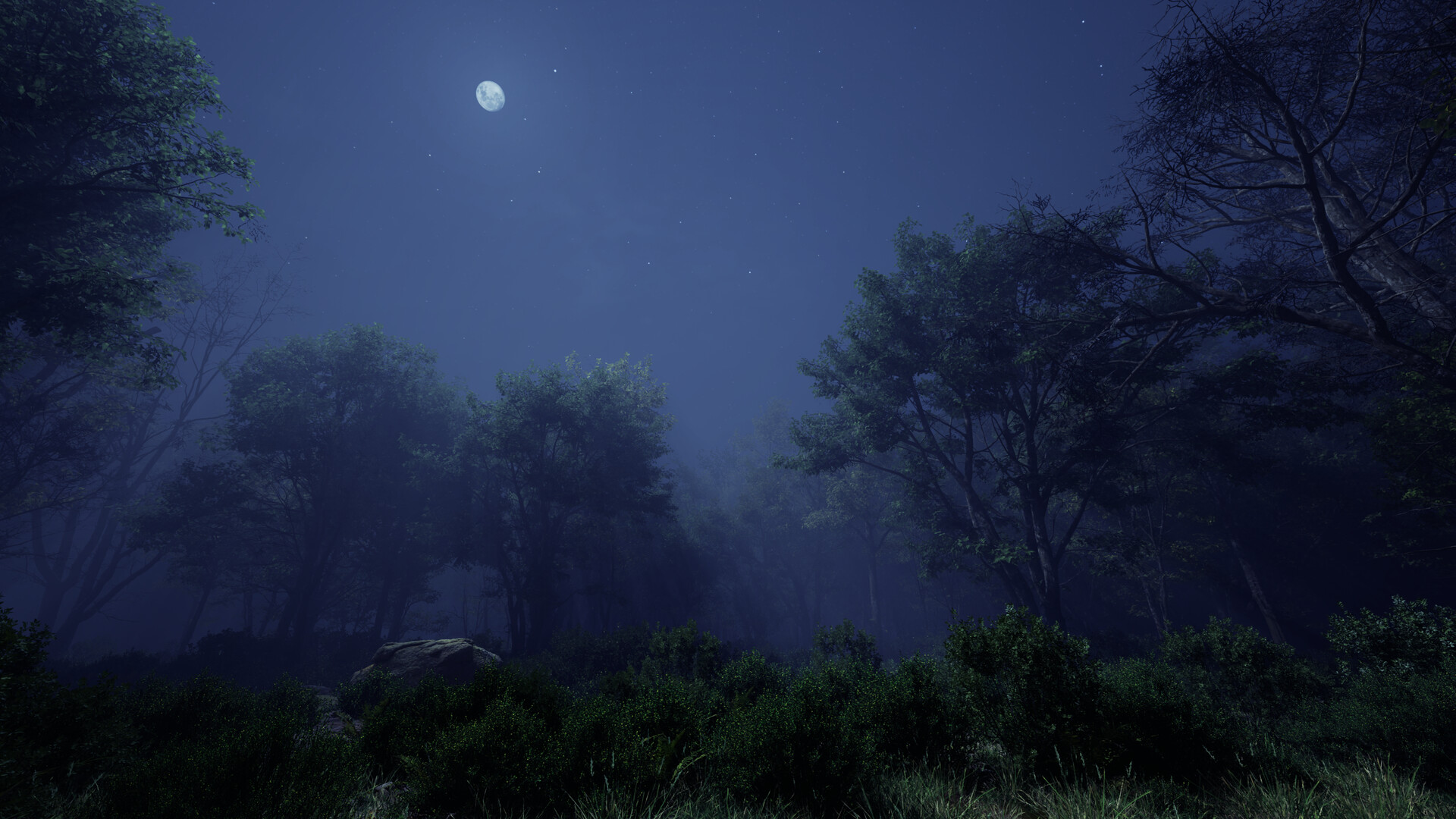 As the Sky Fades screenshot #6
