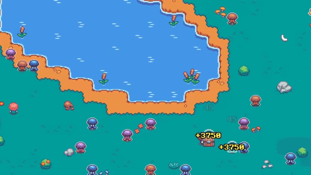 Fungidemi video 11