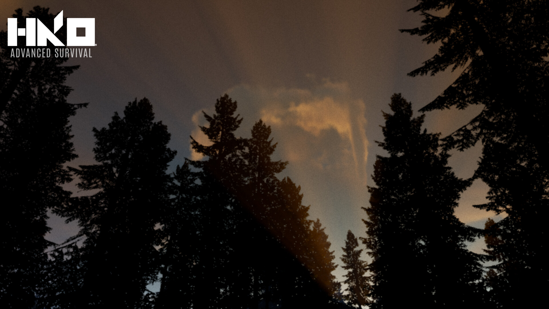 HKO: Advanced Survival screenshot 20