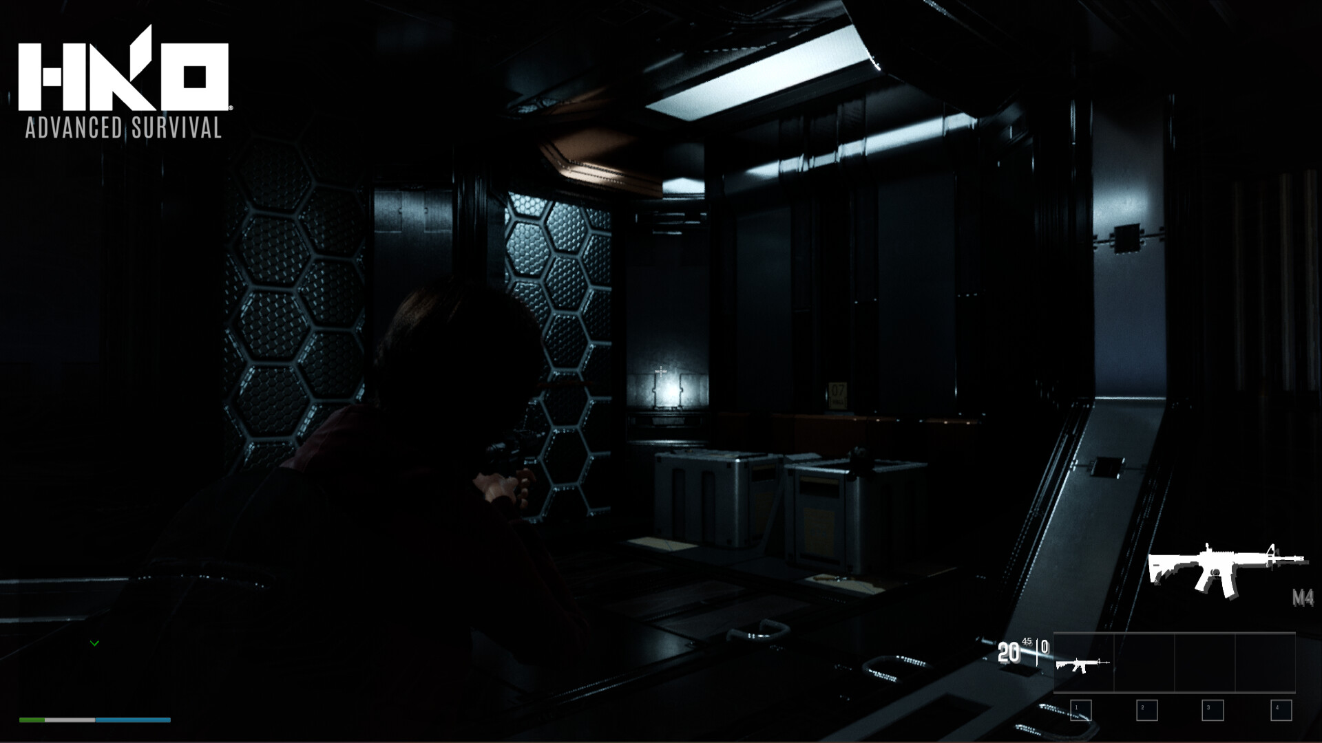 HKO: Advanced Survival screenshot 15