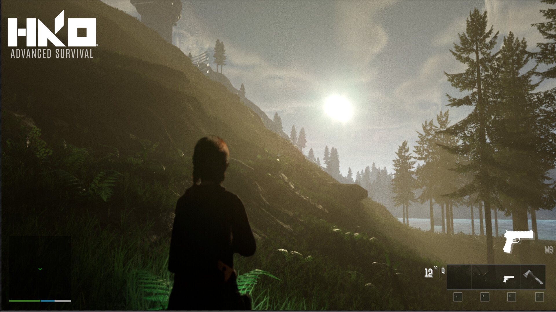 HKO: Advanced Survival screenshot 2