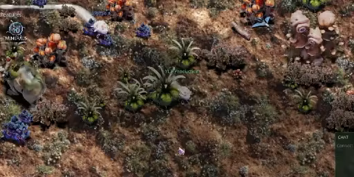 Mycelium Conquest: Mitosis video 1