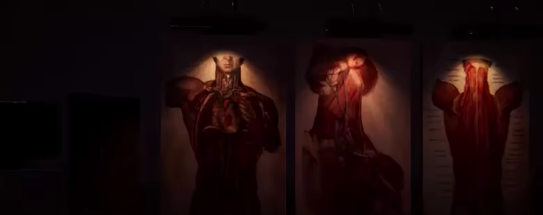 Stillwake video 2