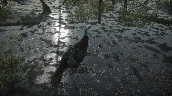 Pro Tukey Hunting スクリーンショット 3