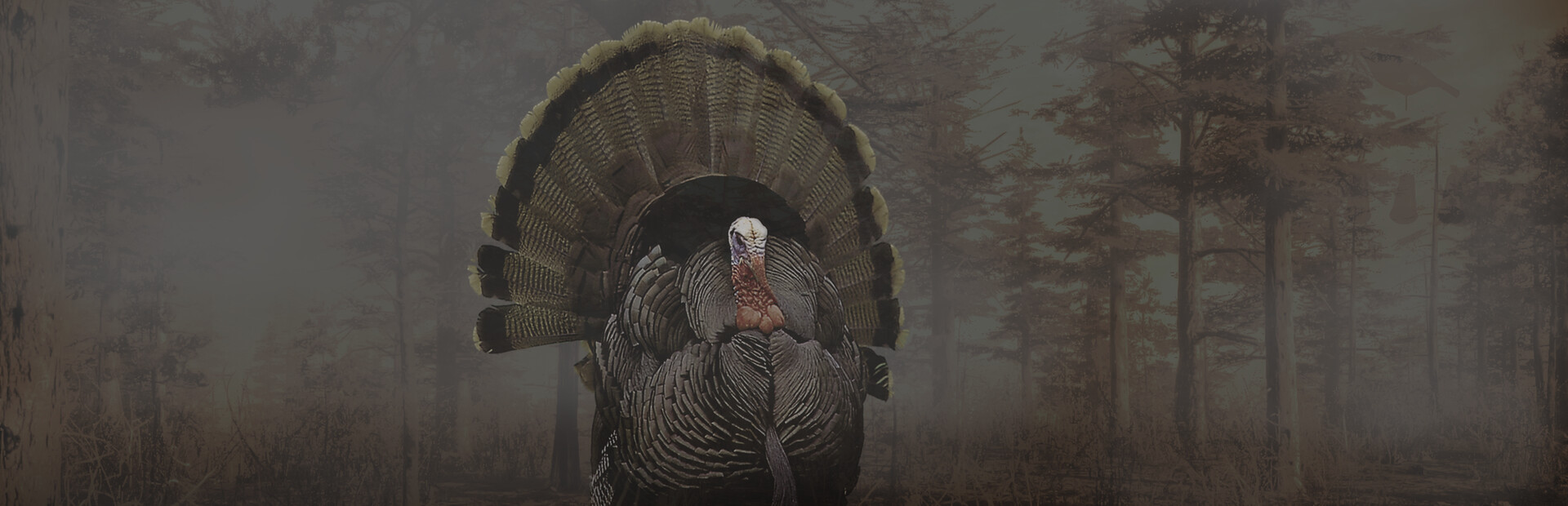 Pro Tukey Hunting